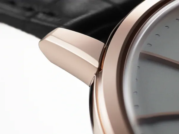 ゴールドフェザーケース画像