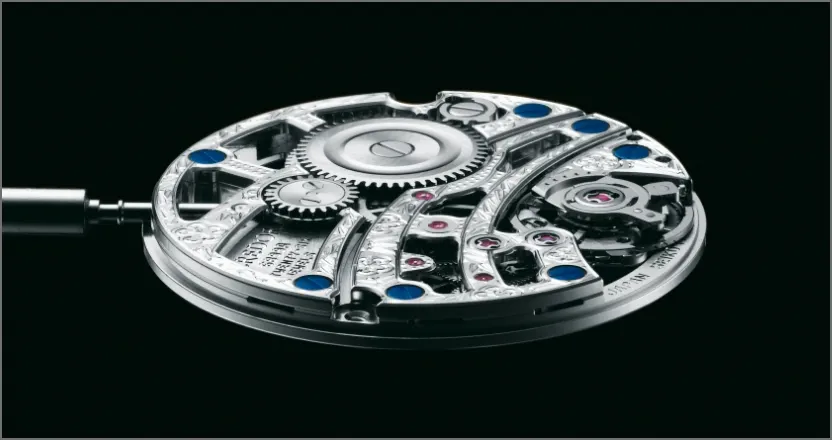 The photo of a skeleton movement