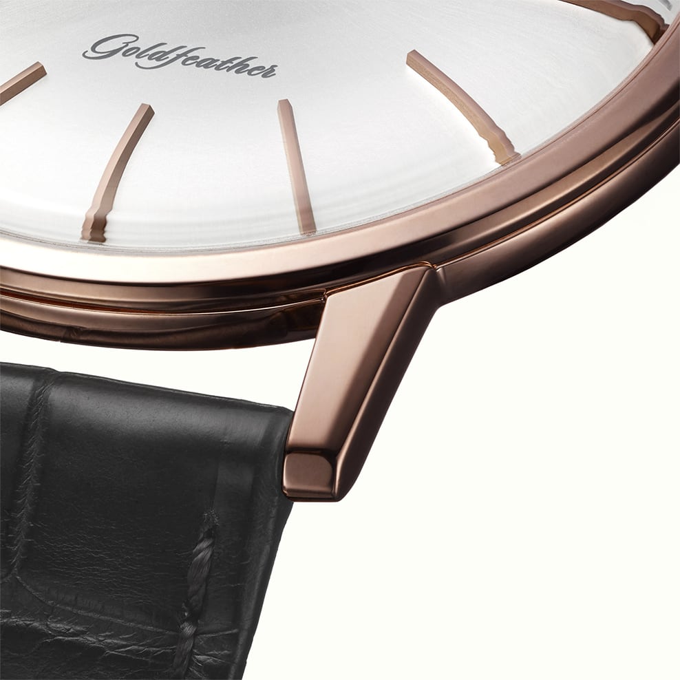 Image of bezel and lug