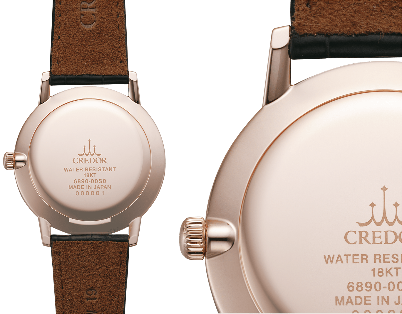 Image of feather-like elegant caseback